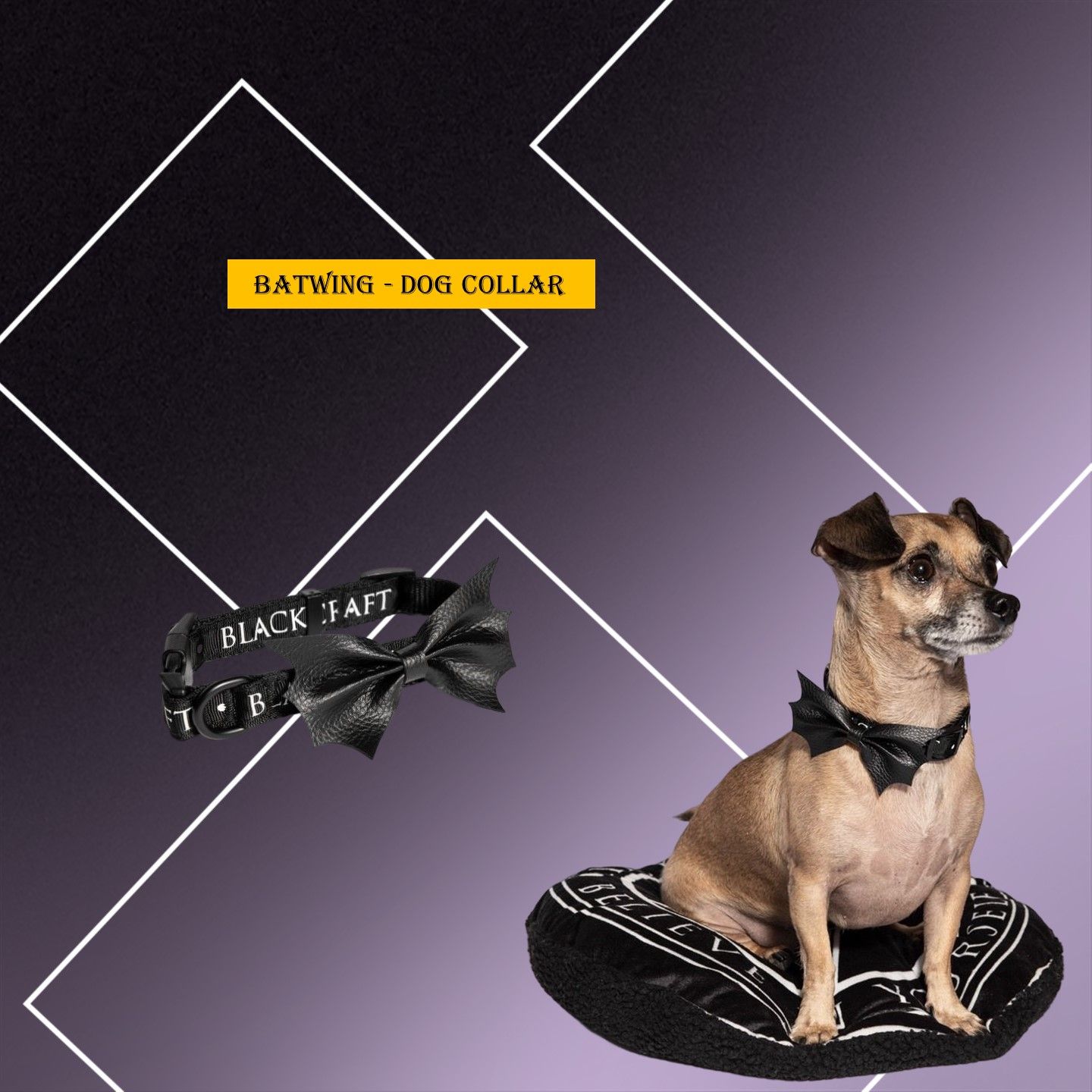 Batwing   Dog Collar